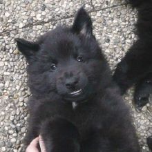 awurf_0517_ares.jpg