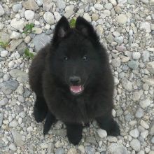 awurf_0606_ares.jpg