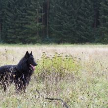 DSC_3492-1.jpg