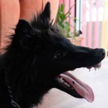 Face-und-Lucy-05.jpg
