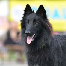 DSC_2622.jpg