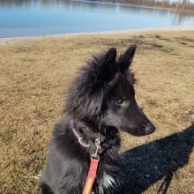 20190215_133418.jpg