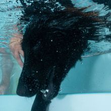 wasser1.jpeg