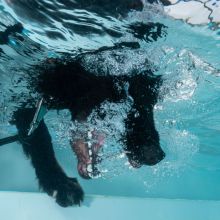 wasser2.jpeg