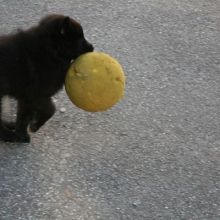 IMG_1517_Bildgröße ändern.JPG