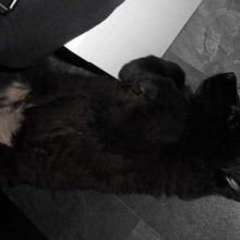 20110208_damian02.jpg