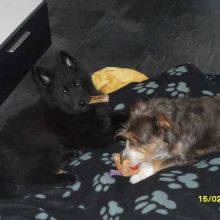 20110208_damian01.jpg