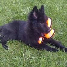 201103_damian03.jpg