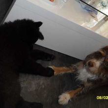 20110208_damian03.jpg