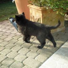 20110206_bo01.jpg