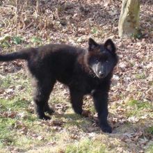 201102_betsy01.jpg