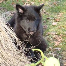 201102_betsy02.jpg