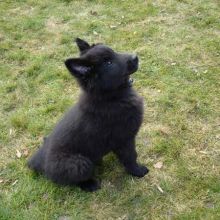201102_betsy03.jpg