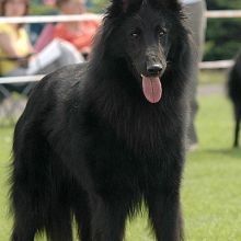 oliver_deabei_2.jpg