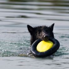 lee_im_wasser.jpg