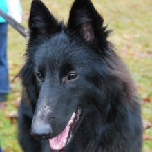 awurf_0812_amira.jpg