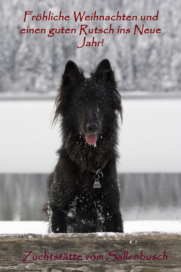 weihnachtsgruss2009