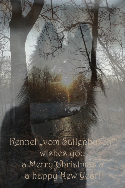 weihnachtsgruss2015
